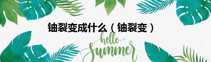 铀裂变成什么（铀裂变）