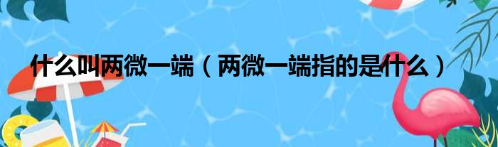 什么叫两微一端（两微一端指的是什么）
