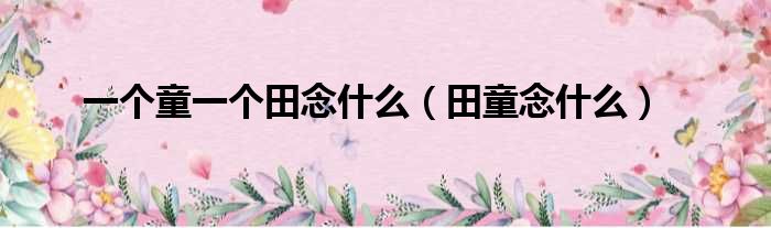 一个童一个田念什么（田童念什么）