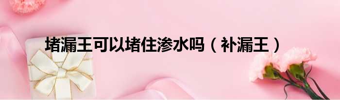 堵漏王可以堵住渗水吗（补漏王）