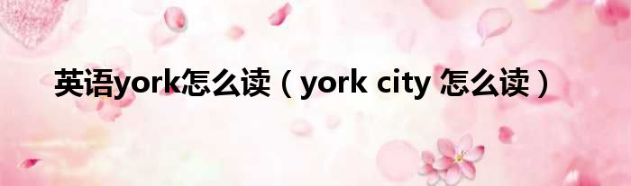 英语york怎么读（york city 怎么读）