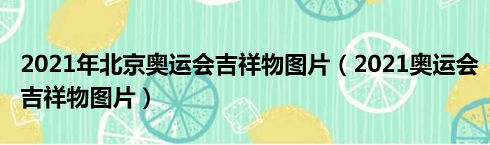 2021年北京奥运会吉祥物图片（2021奥运会吉祥物图片）