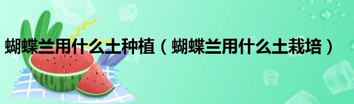 蝴蝶兰用什么土种植（蝴蝶兰用什么土栽培）
