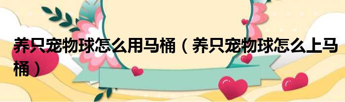 养只宠物球怎么用马桶（养只宠物球怎么上马桶）