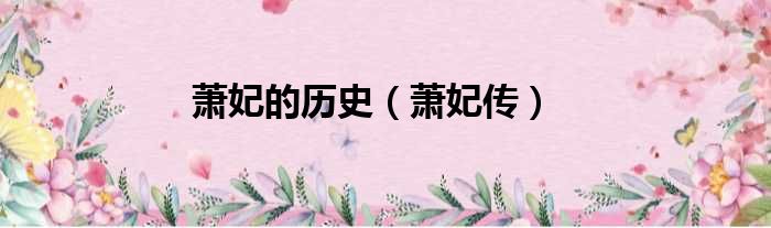 萧妃的历史（萧妃传）