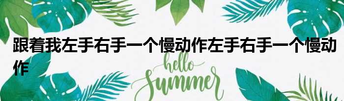 跟着我左手右手一个慢动作左手右手一个慢动作
