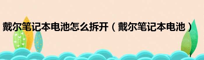 戴尔笔记本电池怎么拆开（戴尔笔记本电池）