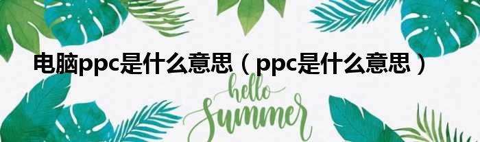 电脑ppc是什么意思（ppc是什么意思）