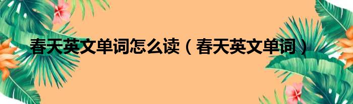 春天英文单词怎么读（春天英文单词）