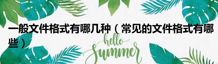 一般文件格式有哪几种（常见的文件格式有哪些）