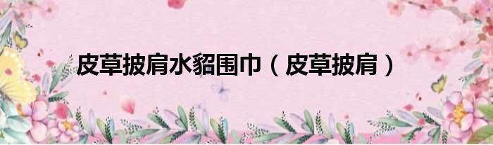 皮草披肩水貂围巾（皮草披肩）