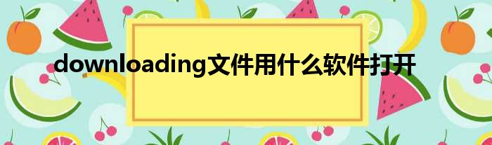 downloading文件用什么软件打开