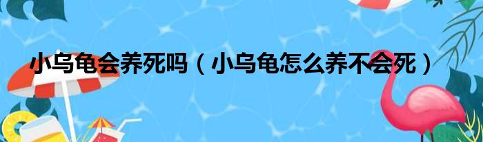 小乌龟会养死吗（小乌龟怎么养不会死）