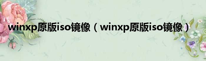 winxp原版iso镜像（winxp原版iso镜像）