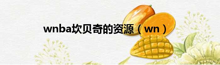 wnba坎贝奇的资源（wn）