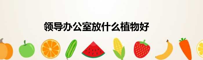 领导办公室放什么植物好