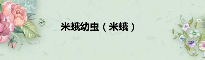 米蛾幼虫（米蛾）
