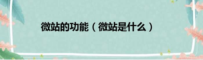 微站的功能（微站是什么）