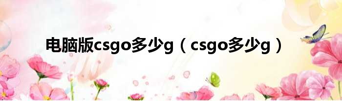 电脑版csgo多少g（csgo多少g）