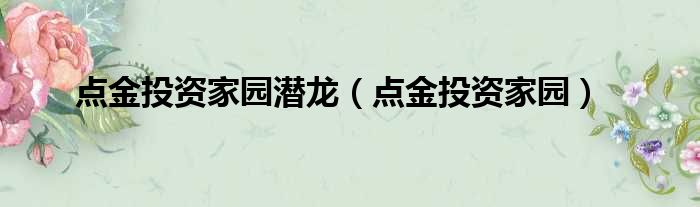 点金投资家园潜龙（点金投资家园）