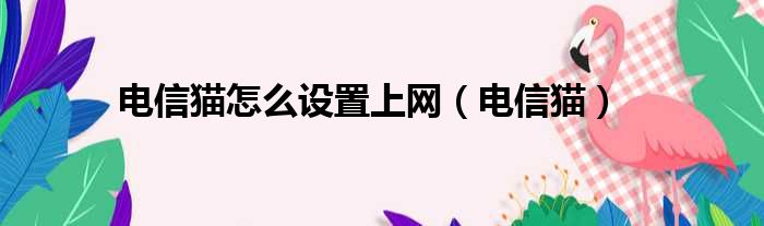 电信猫怎么设置上网（电信猫）