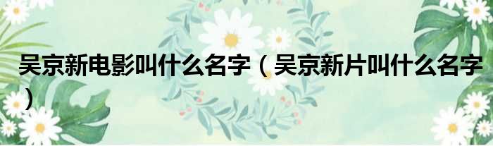 吴京新电影叫什么名字（吴京新片叫什么名字）