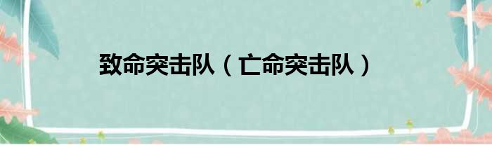 致命突击队（亡命突击队）