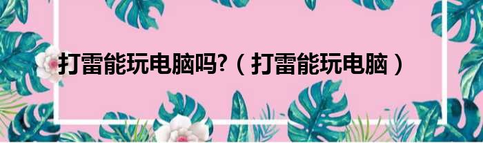 打雷能玩电脑吗?（打雷能玩电脑）