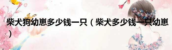 柴犬狗幼崽多少钱一只（柴犬多少钱一只幼崽）