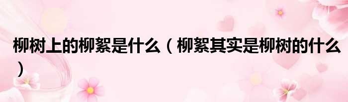 柳树上的柳絮是什么（柳絮其实是柳树的什么）