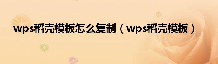 wps稻壳模板怎么复制（wps稻壳模板）