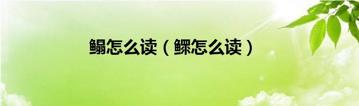 鳎怎么读（鳏怎么读）