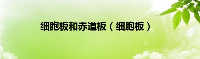 细胞板和赤道板（细胞板）