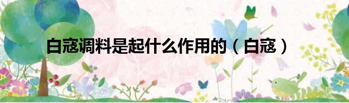 白寇调料是起什么作用的（白寇）