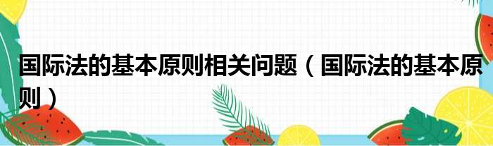 国际法的基本原则相关问题（国际法的基本原则）