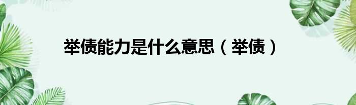 举债能力是什么意思（举债）