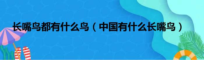 长嘴鸟都有什么鸟（中国有什么长嘴鸟）