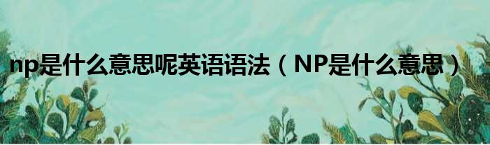 np是什么意思呢英语语法（NP是什么意思）