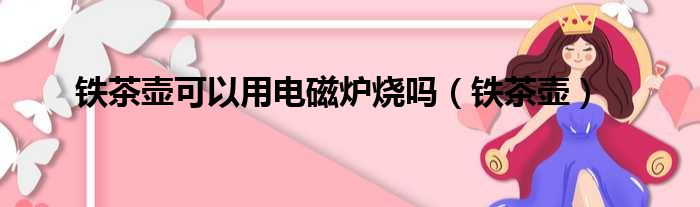 铁茶壶可以用电磁炉烧吗（铁茶壶）