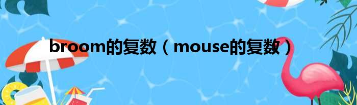 broom的复数（mouse的复数）