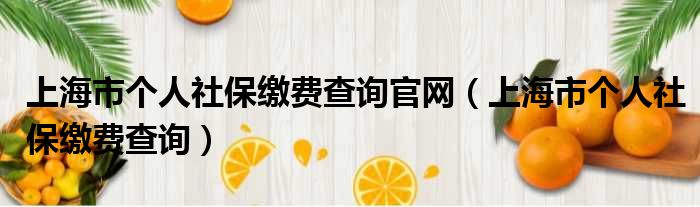 上海市个人社保缴费查询官网（上海市个人社保缴费查询）