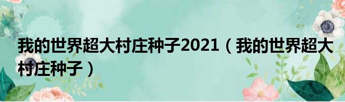 我的世界超大村庄种子2021（我的世界超大村庄种子）