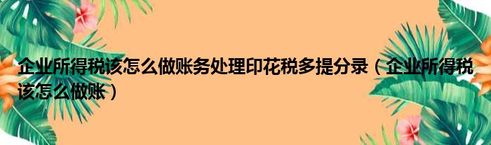 企业所得税该怎么做账务处理印花税多提分录（企业所得税该怎么做账）