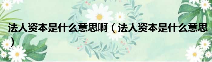 法人资本是什么意思啊（法人资本是什么意思）