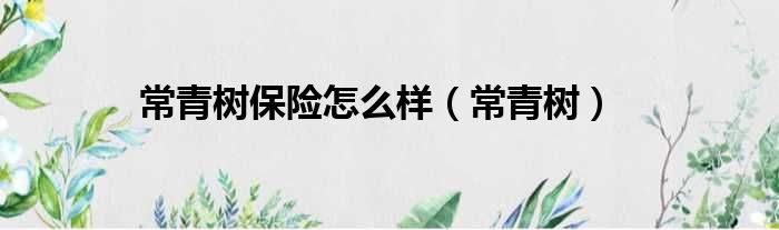 常青树保险怎么样（常青树）