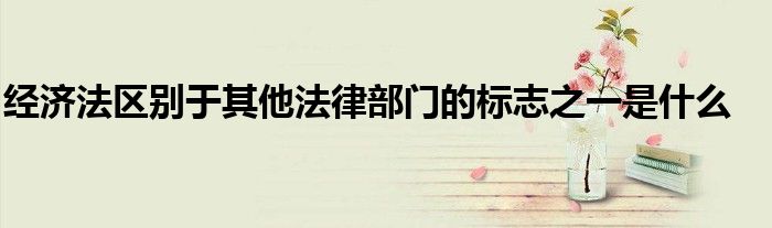经济法区别于其他法律部门的标志之一是什么