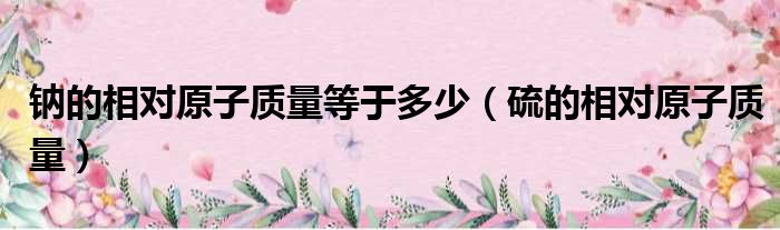 钠的相对原子质量等于多少（硫的相对原子质量）