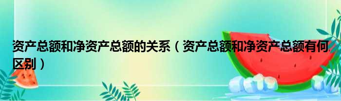 资产总额和净资产总额的关系（资产总额和净资产总额有何区别）