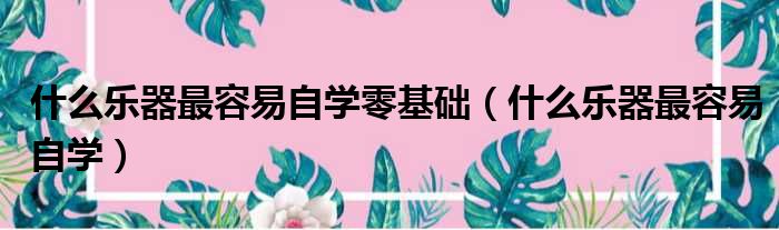 什么乐器最容易自学零基础（什么乐器最容易自学）