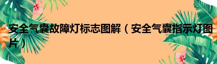 安全气囊故障灯标志图解（安全气囊指示灯图片）